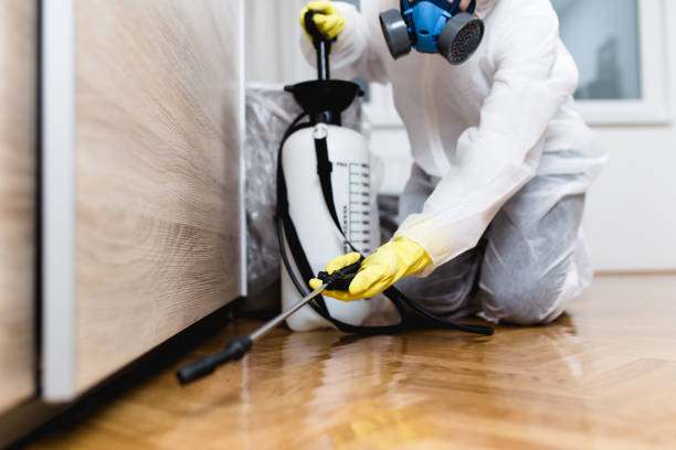 Best Insect Control  in Tavares, FL