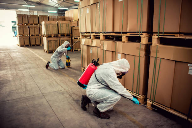 Best Affordable Pest Control Services  in Tavares, FL