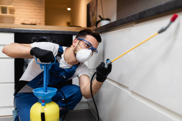 Professional Pest Control in Tavares, FL