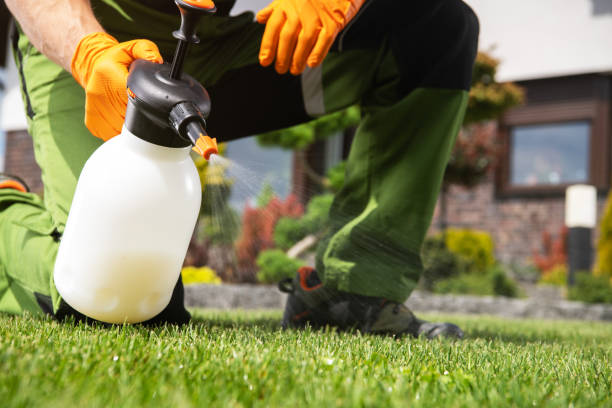 Best Pest Control Near Me in Tavares, FL