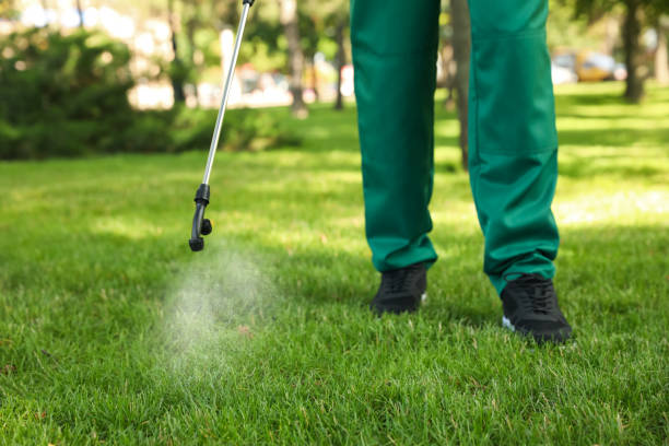 Best Bed Bug Extermination  in Tavares, FL