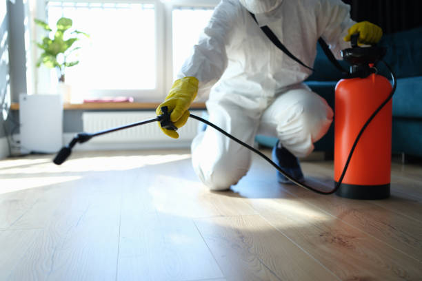Pest Control Cost in Tavares, FL
