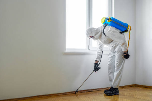 Wildlife Control Services in Tavares, FL