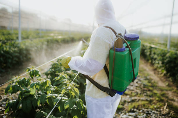 Best Best Pest Control Near Me  in Tavares, FL